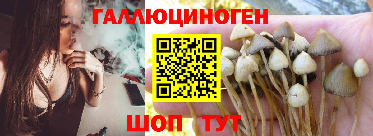 Псилоцибиновые грибы прущие грибы  Галлюциногенные грибы Psilocybine cubensis  где продают наркотики  Вход с VPN  Чехов 